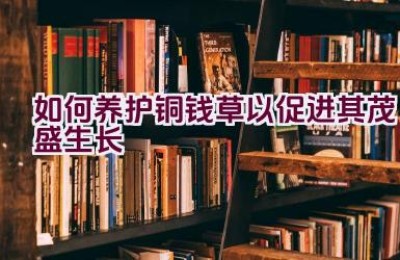 如何养护铜钱草以促进其茂盛生长