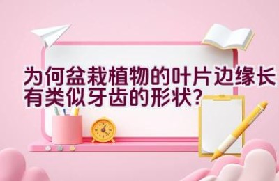 为何盆栽植物的叶片边缘长有类似牙齿的形状？