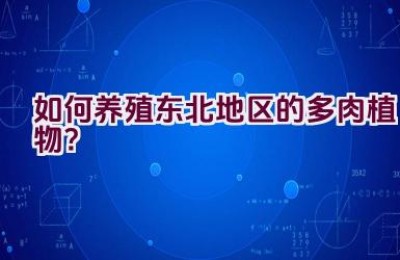 如何养殖东北地区的多肉植物？