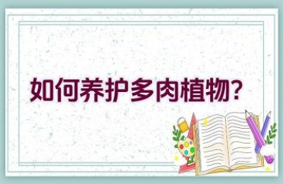 如何养护多肉植物？