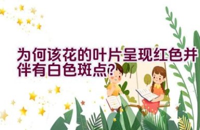 为何该花的叶片呈现红色并伴有白色斑点？