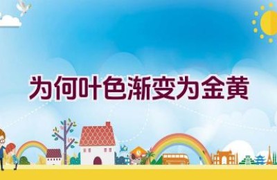 为何叶色渐变为金黄