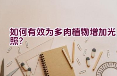 如何有效为多肉植物增加光照？