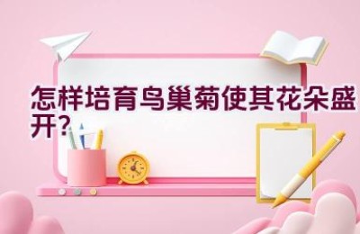 怎样培育鸟巢菊使其花朵盛开？