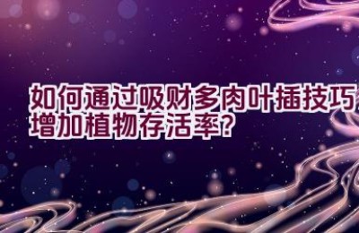 如何通过吸财多肉叶插技巧增加植物存活率？