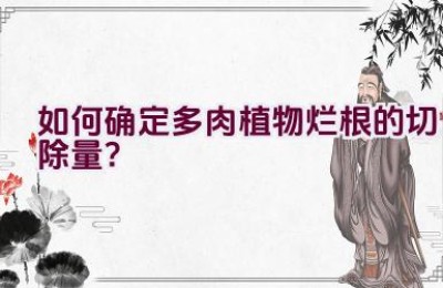 如何确定多肉植物烂根的切除量？