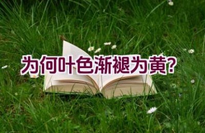 为何叶色渐褪为黄？