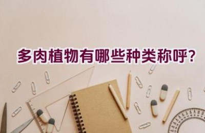 多肉植物有哪些种类称呼？