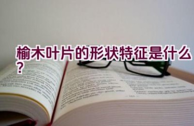 榆木叶片的形状特征是什么？