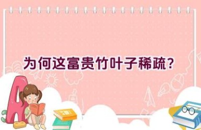 为何这富贵竹叶子稀疏？