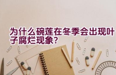 为什么碗莲在冬季会出现叶子腐烂现象？