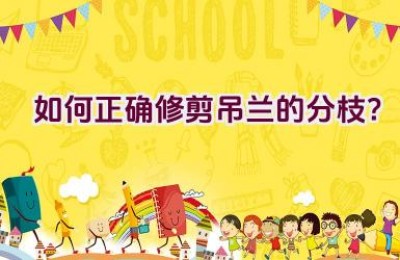 如何正确修剪吊兰的分枝？