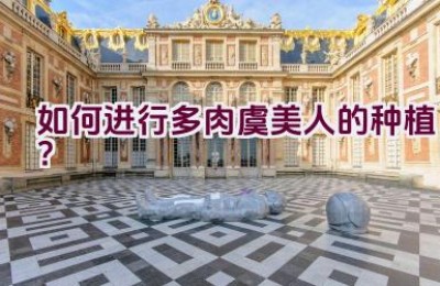 如何进行多肉虞美人的种植？