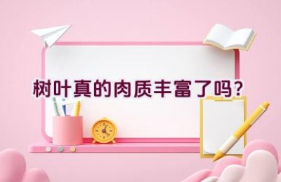 树叶真的肉质丰富了吗？