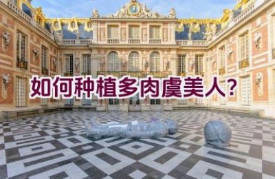 如何种植多肉虞美人？