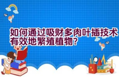 如何通过吸财多肉叶插技术有效地繁殖植物？
