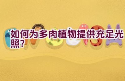 如何为多肉植物提供充足光照？