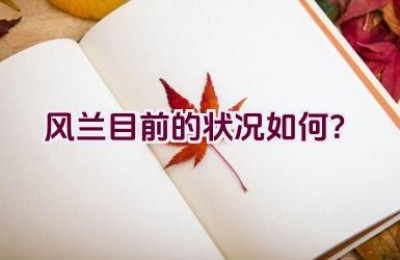 风兰目前的状况如何？