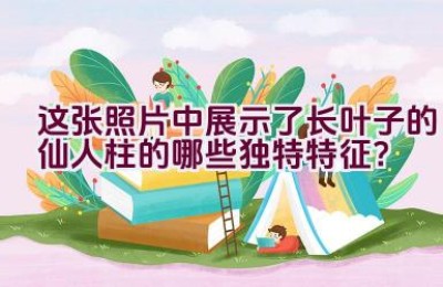 这张照片中展示了长叶子的仙人柱的哪些独特特征？