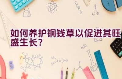 如何养护铜钱草以促进其旺盛生长？