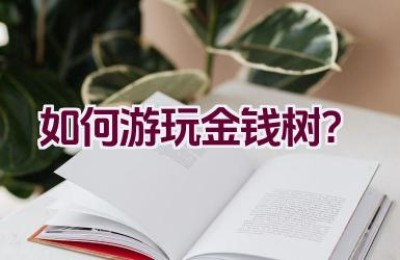 如何游玩金钱树？