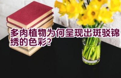 多肉植物为何呈现出斑驳锦绣的色彩？
