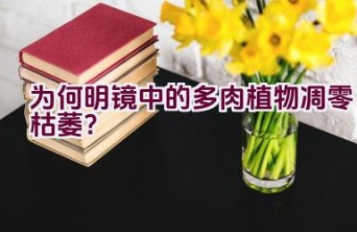 为何明镜中的多肉植物凋零枯萎？