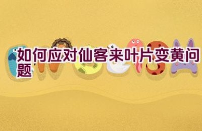 如何应对仙客来叶片变黄问题