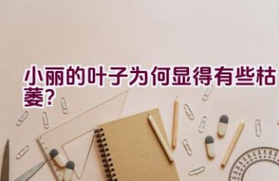 小丽的叶子为何显得有些枯萎？