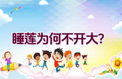 睡莲为何不开大？