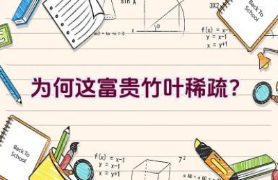 为何这富贵竹叶稀疏？