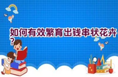 如何有效繁育出钱串状花卉？