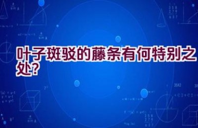 叶子斑驳的藤条有何特别之处？