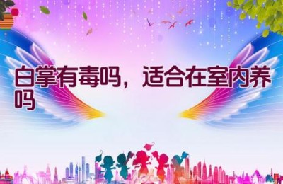 白掌有毒吗，适合在室内养吗