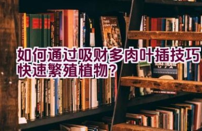 如何通过吸财多肉叶插技巧快速繁殖植物？