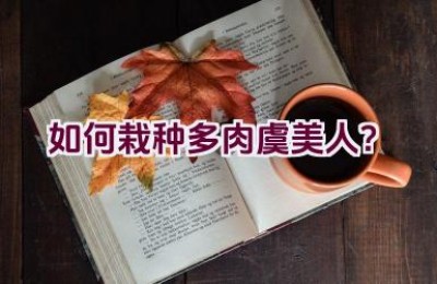 如何栽种多肉虞美人？