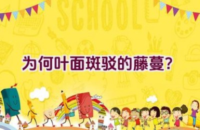 为何叶面斑驳的藤蔓？