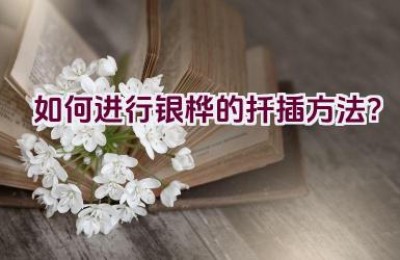 如何进行银桦的扦插方法？