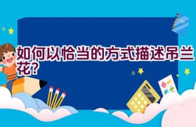 如何以恰当的方式描述吊兰花？