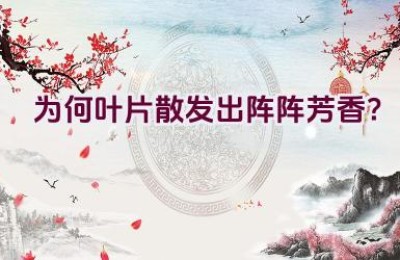 为何叶片散发出阵阵芳香？