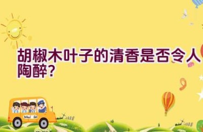 胡椒木叶子的清香是否令人陶醉？