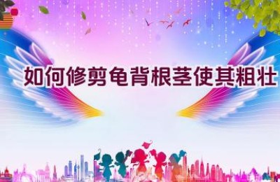 如何修剪龟背根茎使其粗壮