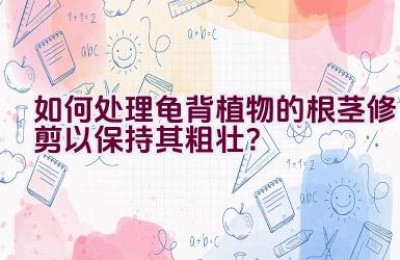如何处理龟背植物的根茎修剪以保持其粗壮？