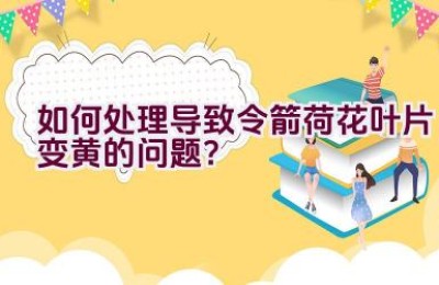 如何处理导致令箭荷花叶片变黄的问题？