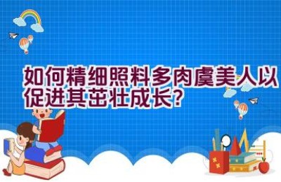 如何精细照料多肉虞美人以促进其茁壮成长？