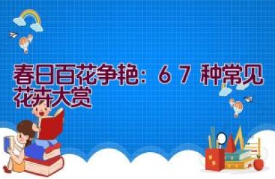 春日百花争艳：67种常见花卉大赏