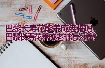 巴黎长寿花能养成老桩吗，巴黎长寿花养成老桩怎么养？