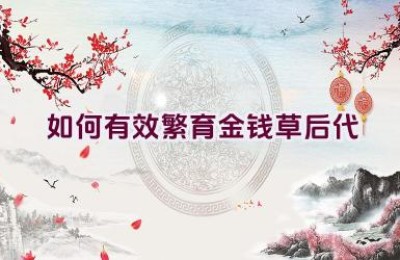 如何有效繁育金钱草后代