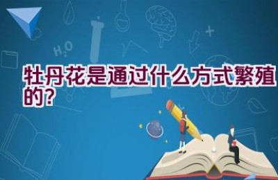 牡丹花是通过什么方式繁殖的？