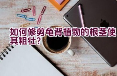 如何修剪龟背植物的根茎使其粗壮？